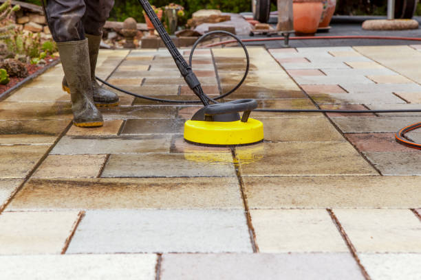 Best Animal Enclosure Cleaning  in Rock Hill, SC